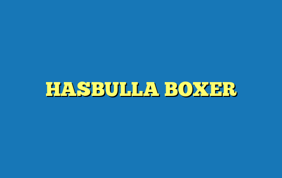 HASBULLA BOXER