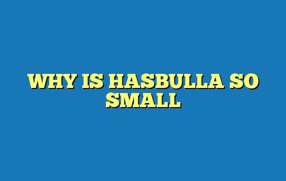 WHY IS HASBULLA SO SMALL